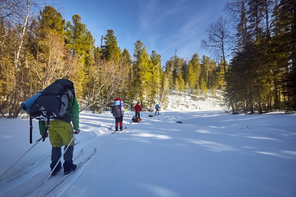 Как выбрать туристические походные лыжи