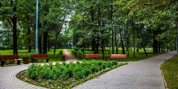Озеленение парка Северные Дубки (Дегунинский)