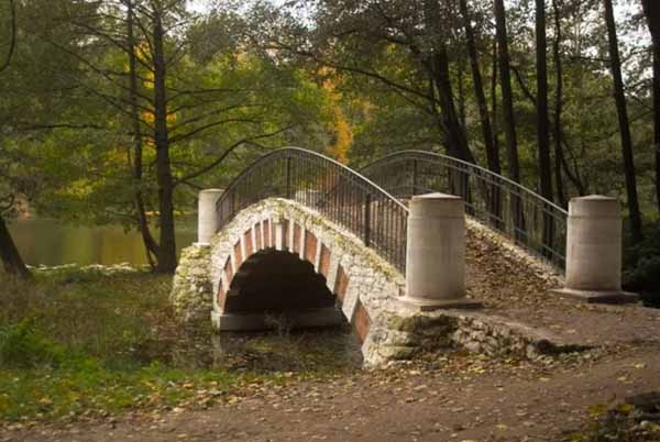 Осень в парке Кузьминки