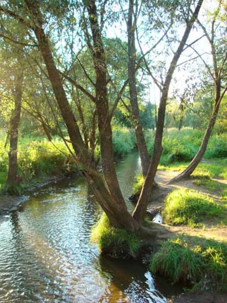 река Серебрянка в парке Измайлово