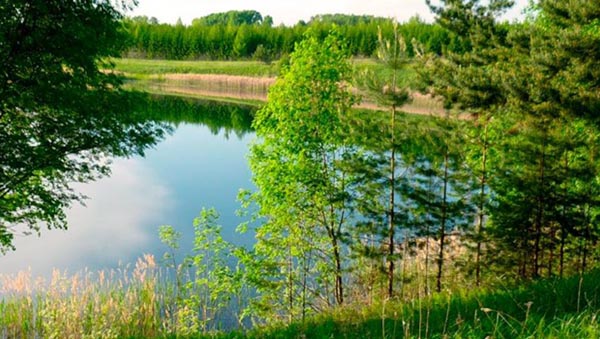 Озеро Лежнинское Кировской области