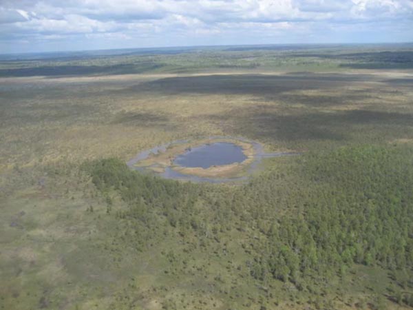 Кайское болото Кировской области