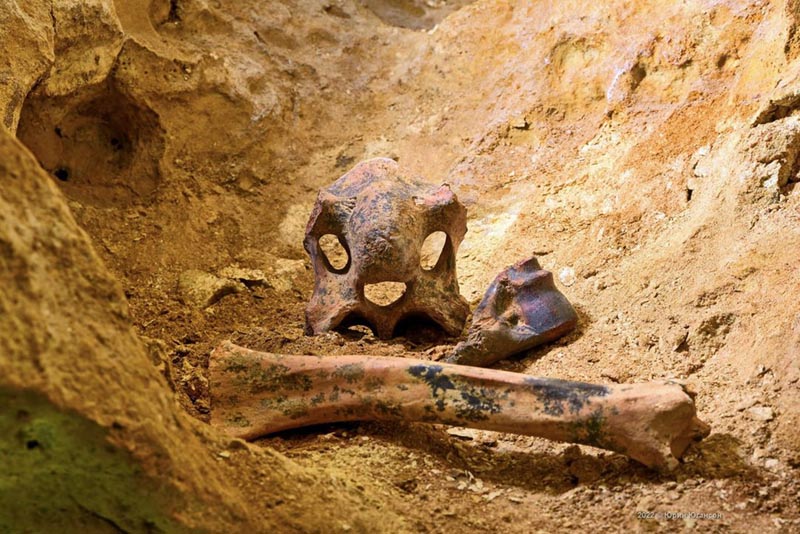 Останки костей древних животных в пещере Таврида