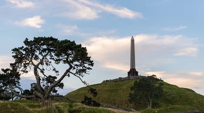 «Холм одного дерева» в Новой Зеландии
