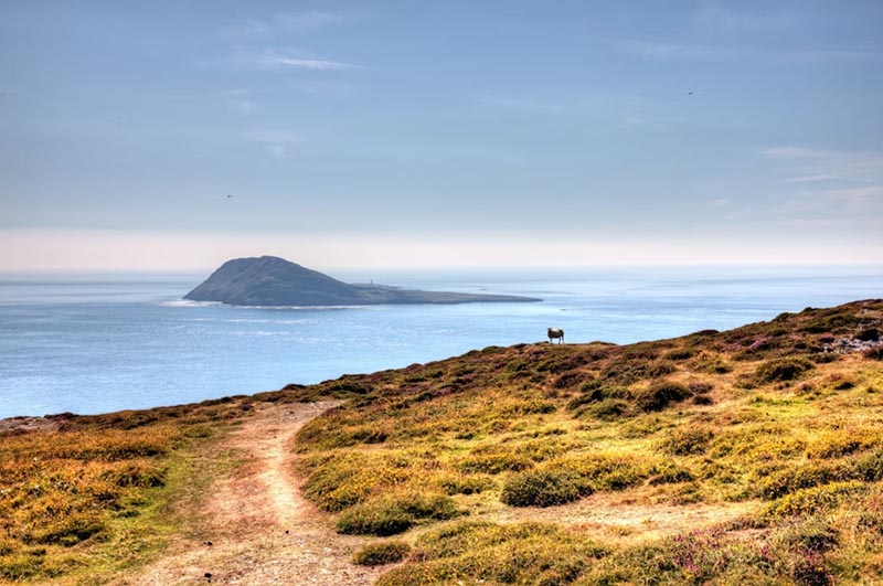 Вид на побережье Уэльса с видом на остров Бардси