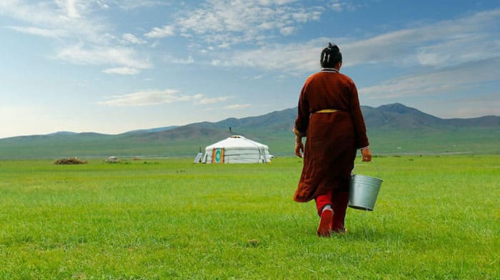 Пастбища в Монголии