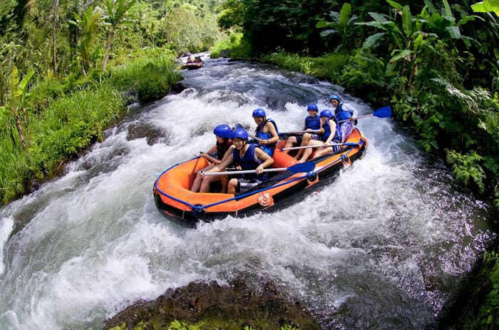 Рафтинг по рекам джунглей Бали предлагает почувствовать вкус дикой природы недалеко от Убуда. Красота!