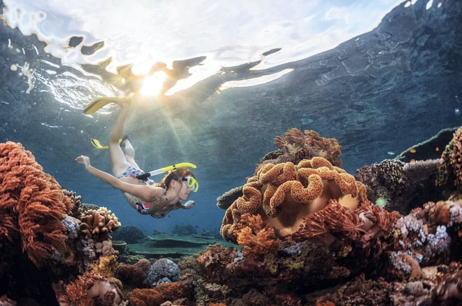 Подводное плавание с маской и трубкой в ​​красивом подводном мире в Пемутеране, Бали. Красота!