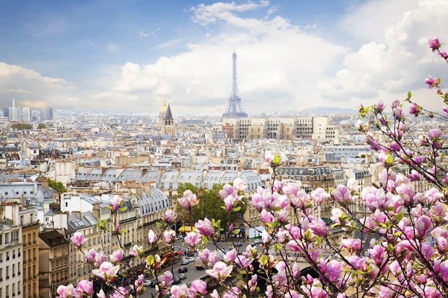 Париж весной, предоставляет возможность насладиться прекрасной погодой и обилием цветов
