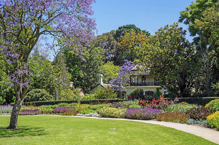 Наслаждайтесь пикником в живописном Королевском ботаническом саду. Красота!