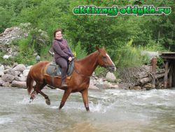 конный туризм